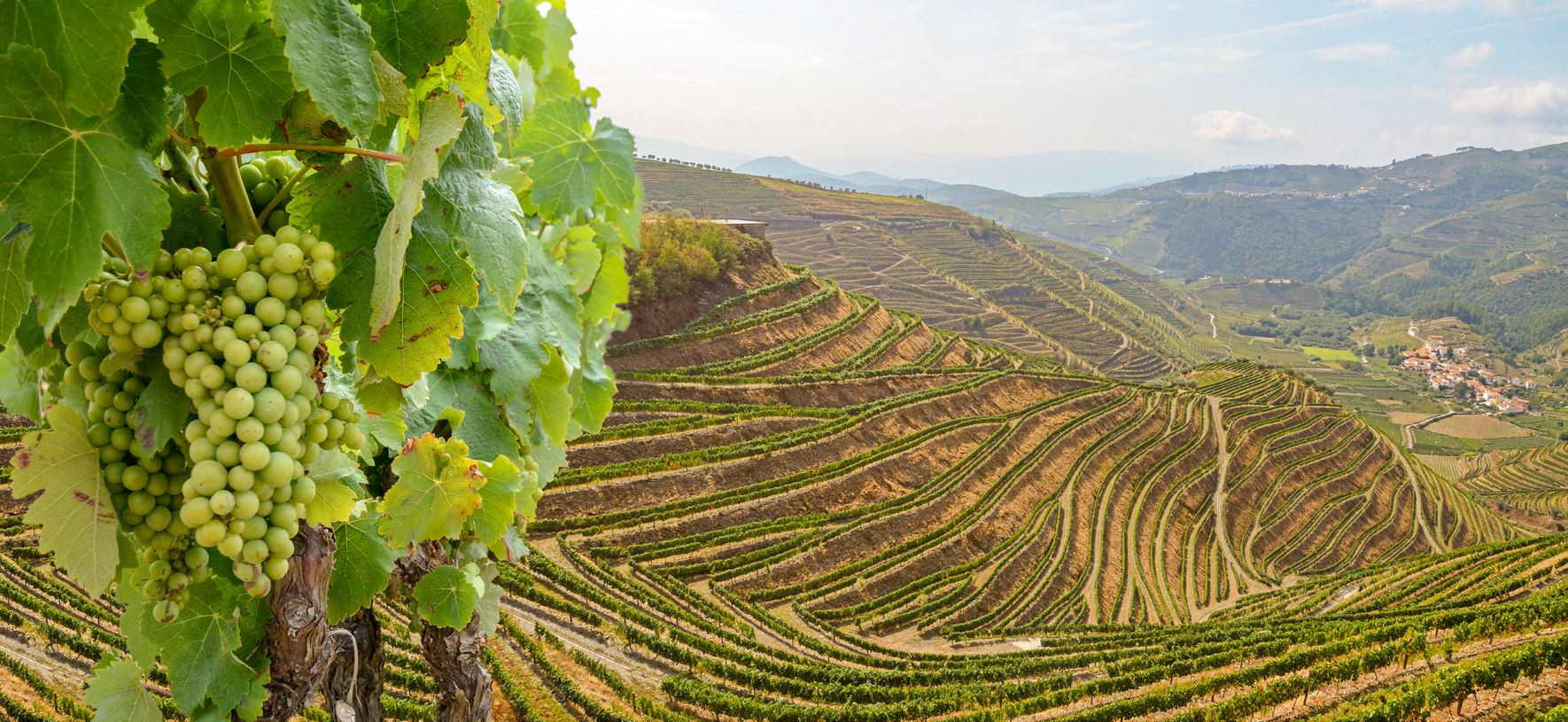 The best wine tasting tours in Portugal