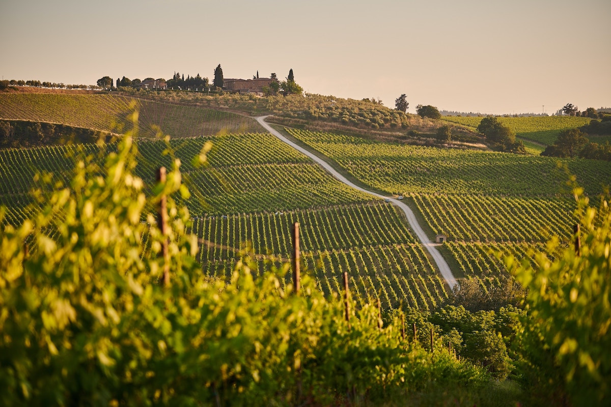 Travelling to Tuscany? Explore the region’s finest wines at these luxury villas