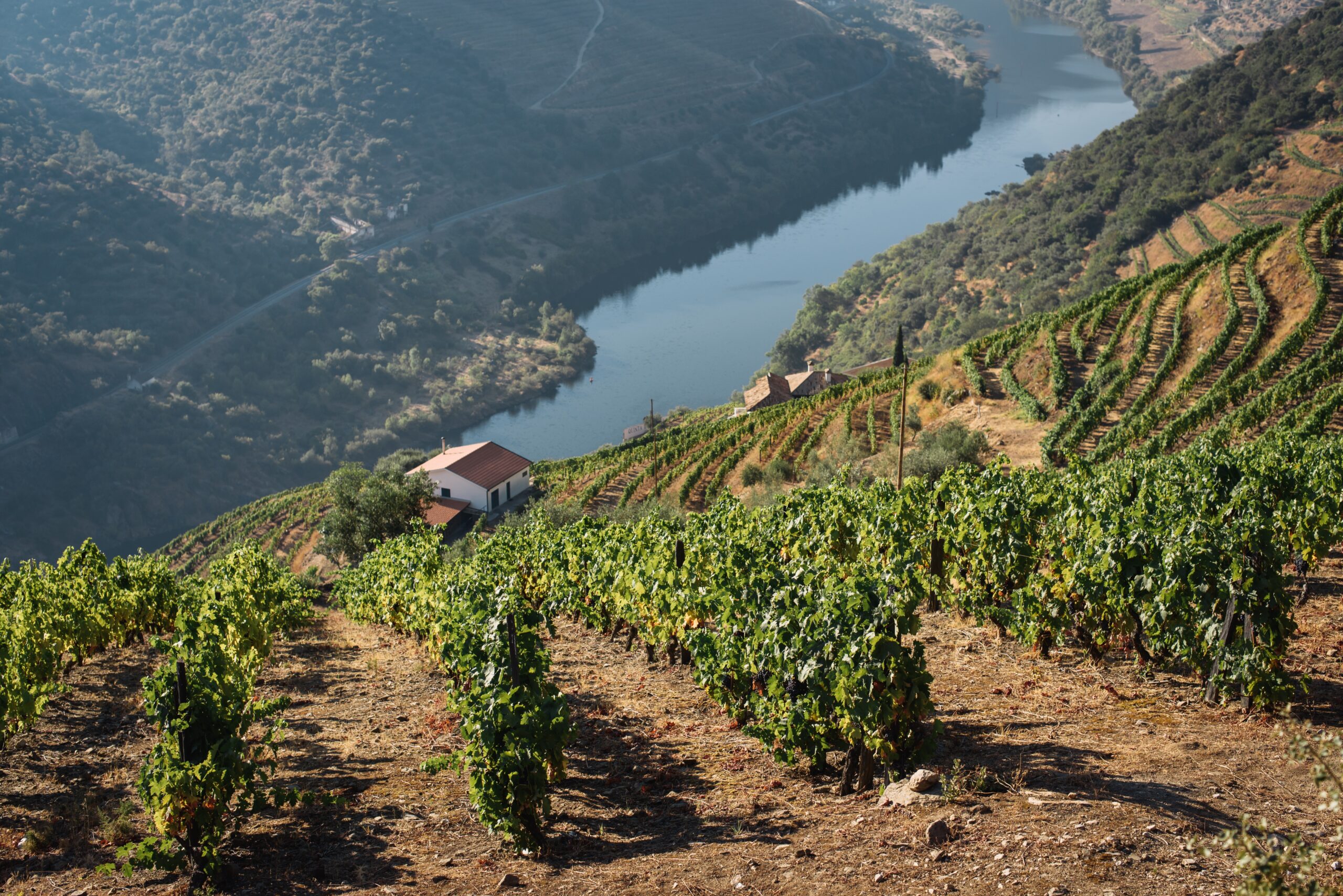 Luxury Villas to rent in Douro Valley Portugal