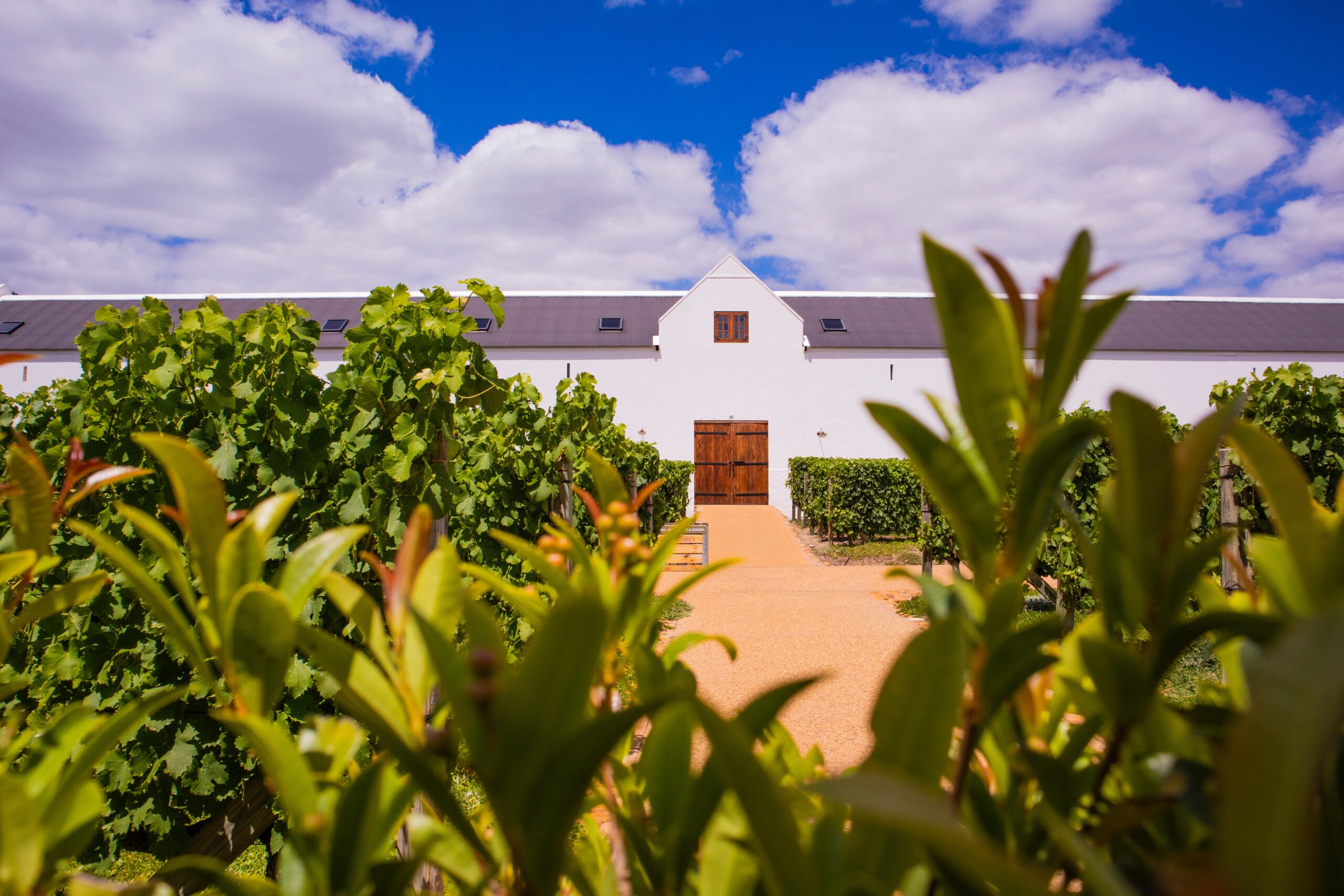 Luxury Villas to rent in Cape Winelands, spectacular scenery