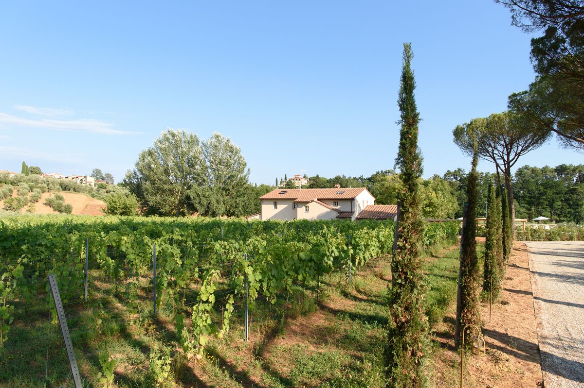 Villa Buggiano Luxury Villa Rental - Tuscany, Italy 22 The Luxury Travel Book