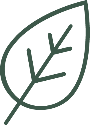 Leaf icon